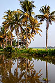 Kerala backwaters, our three hours neighborhood tour in the narrow canoe towards Vembanad Lake and along one of the  narrow canal running near our guest house at Kumarakom. 